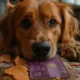 Best Credit Card that fits on you